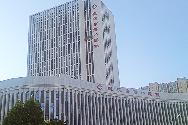 湖北省武汉市第八医院